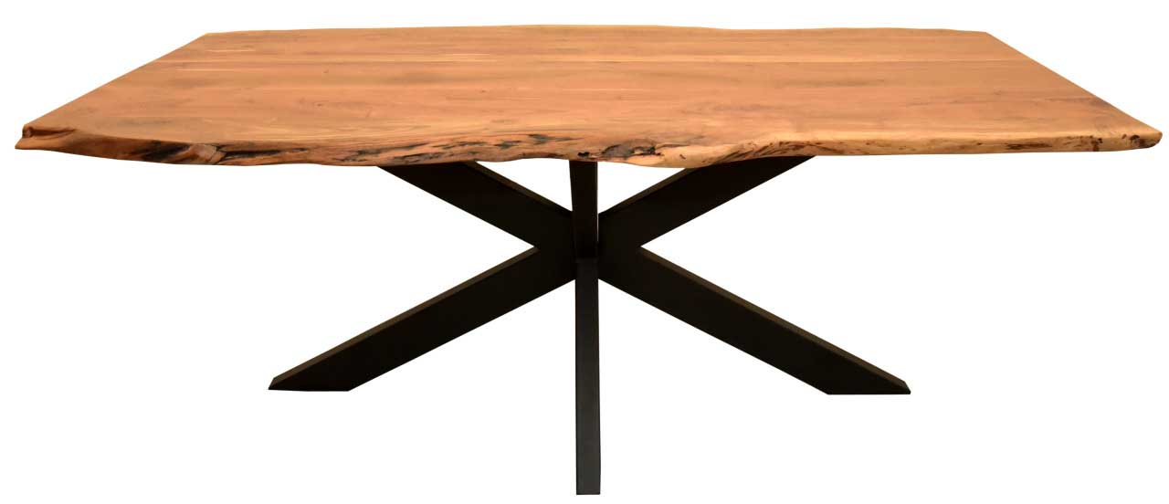 Indoormöbelset Diningsessel Ginosa light grey & Tisch Catania 200x100cm Cross