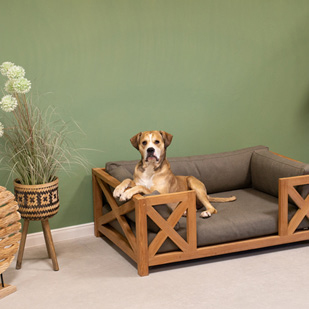 dV-Listing-Stoerer_323x411px5